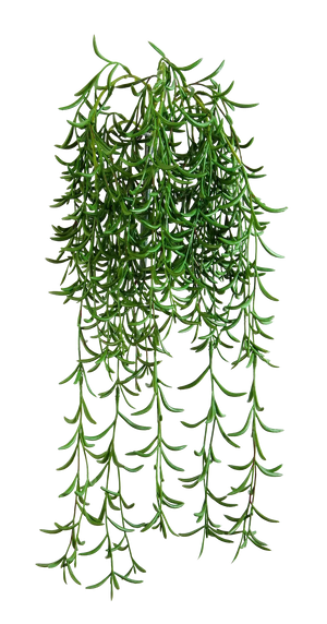 Künstliche Hänge-Sukkulente - Henriette, 45 cm, Kunstpflanze von aplanta, Steckpflanze, in Natur, für drinnen