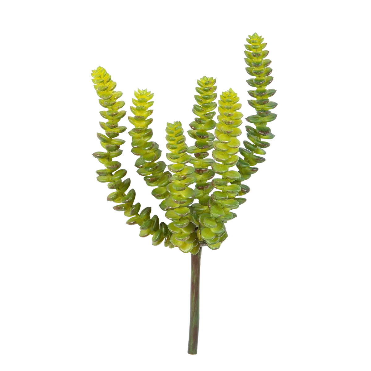 Künstliche Crassula - Hedi, 17 cm, Kunstpflanze von aplanta, Steckpflanze, für drinnen