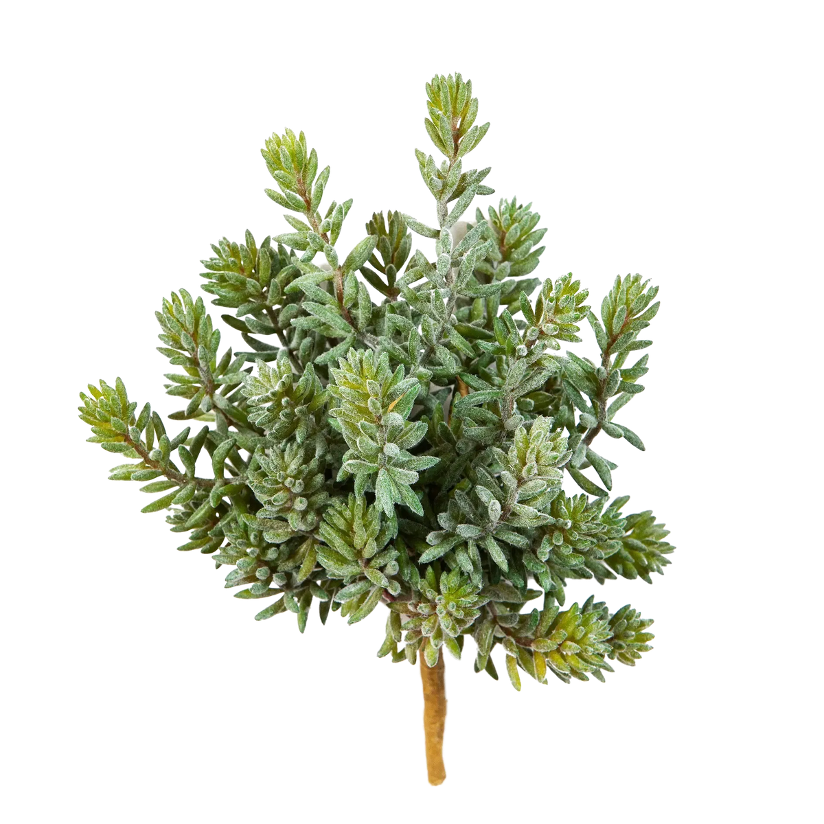 Künstliche Sedum - Helin, 20 cm, Kunstpflanze von aplanta, Steckpflanze, für drinnen