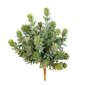 Künstliche Sedum - Helin, 20 cm, Kunstpflanze von aplanta, Steckpflanze, für drinnen