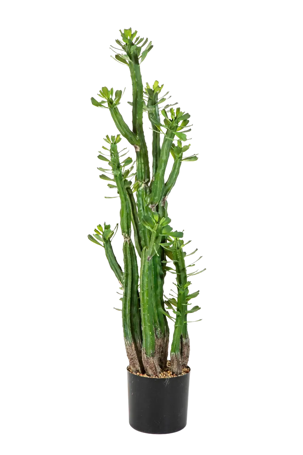 Künstlicher Kaktus - Hermann, 118 cm, Kunstpflanze von aplanta, in Natur, für drinnen