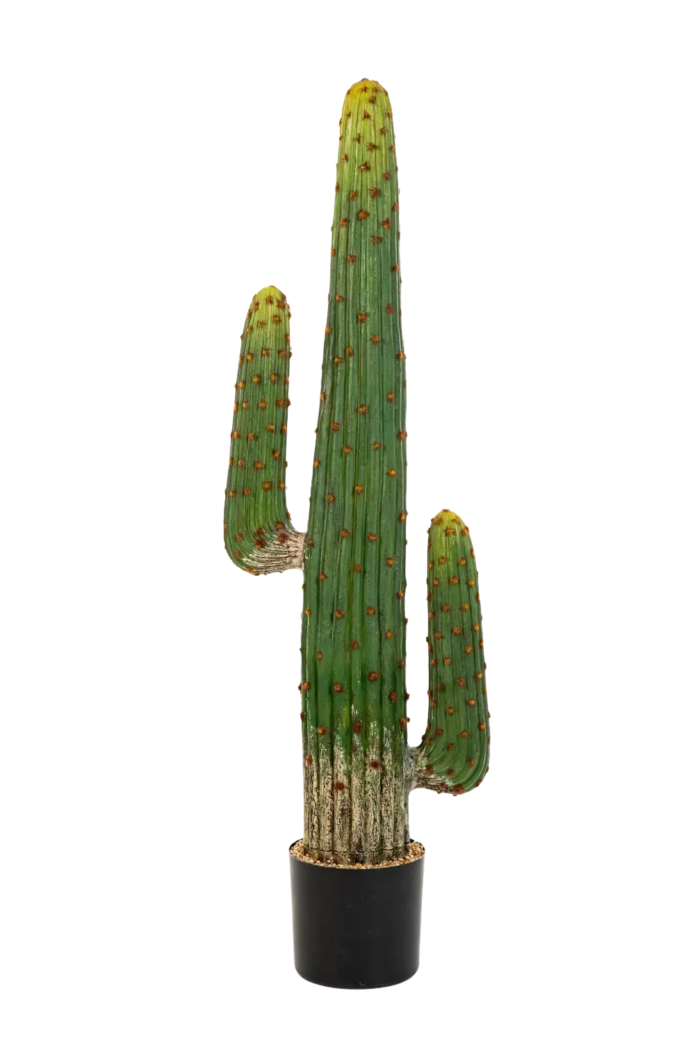 Künstlicher Kaktus - Hagen, 125 cm, Kunstpflanze von aplanta, in Natur, für drinnen