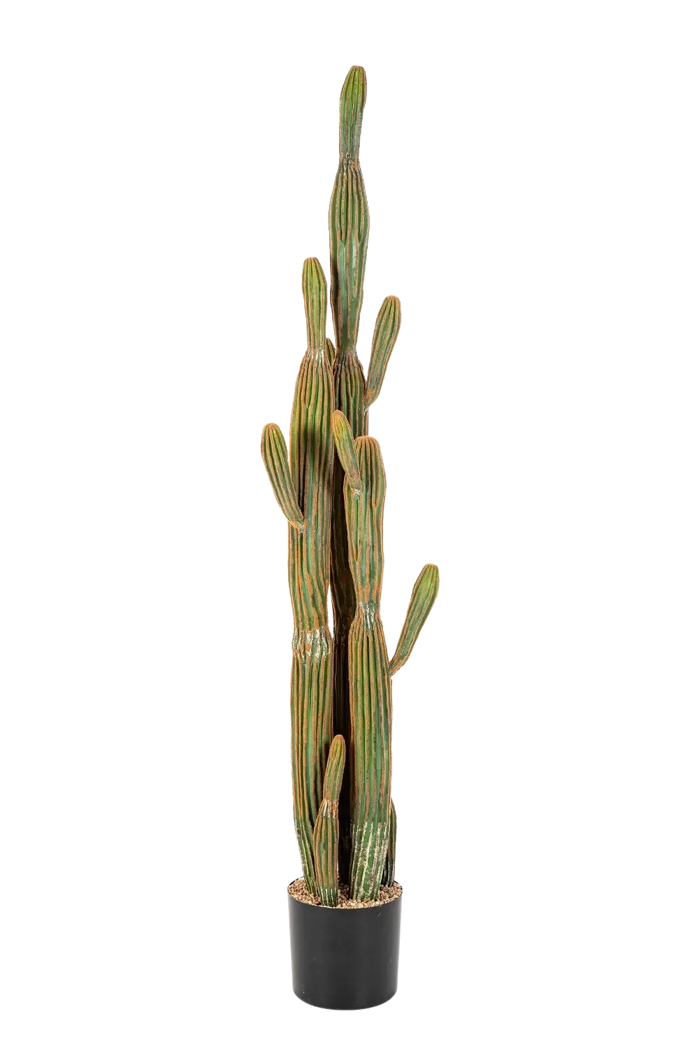 Künstlicher Kaktus - Heinz, 150 cm, Kunstbaum von aplanta, Real Touch, im schwarzen Topf, in Natur, für drinnen