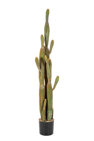 Künstlicher Kaktus - Heinz, 150 cm, Kunstbaum von aplanta, Real Touch, im schwarzen Topf, in Natur, für drinnen