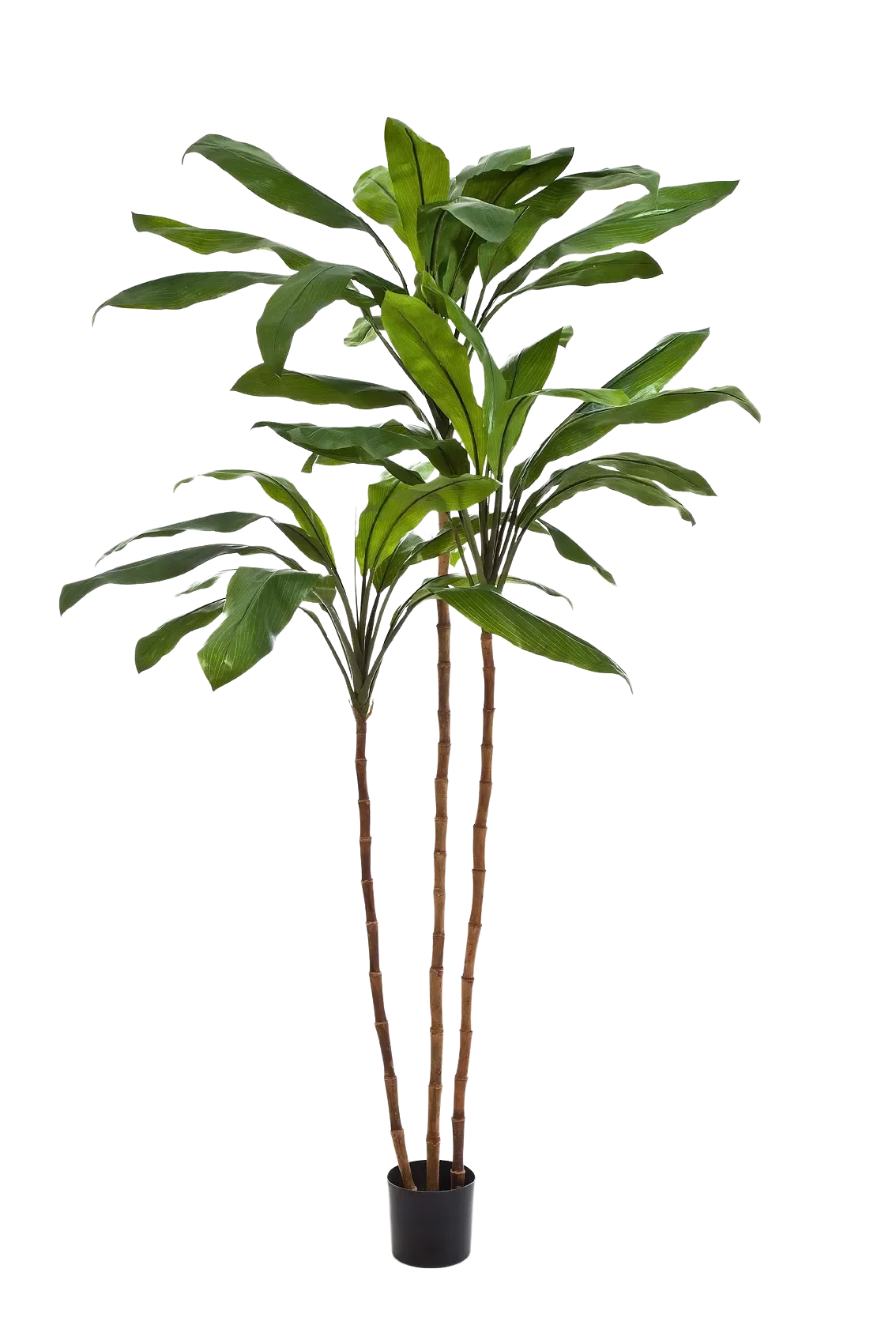 Künstliche Lilie - Isabell, 210 cm, Kunstbaum von aplanta, in Natur, für drinnen