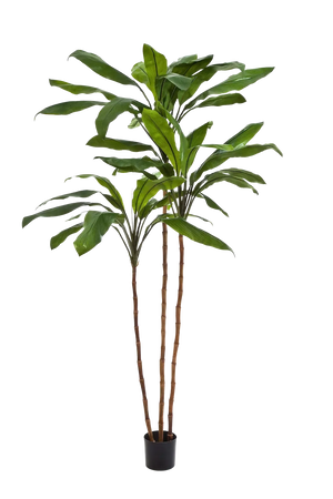 Künstliche Lilie - Isabell, 210 cm, Kunstbaum von aplanta, in Natur, für drinnen