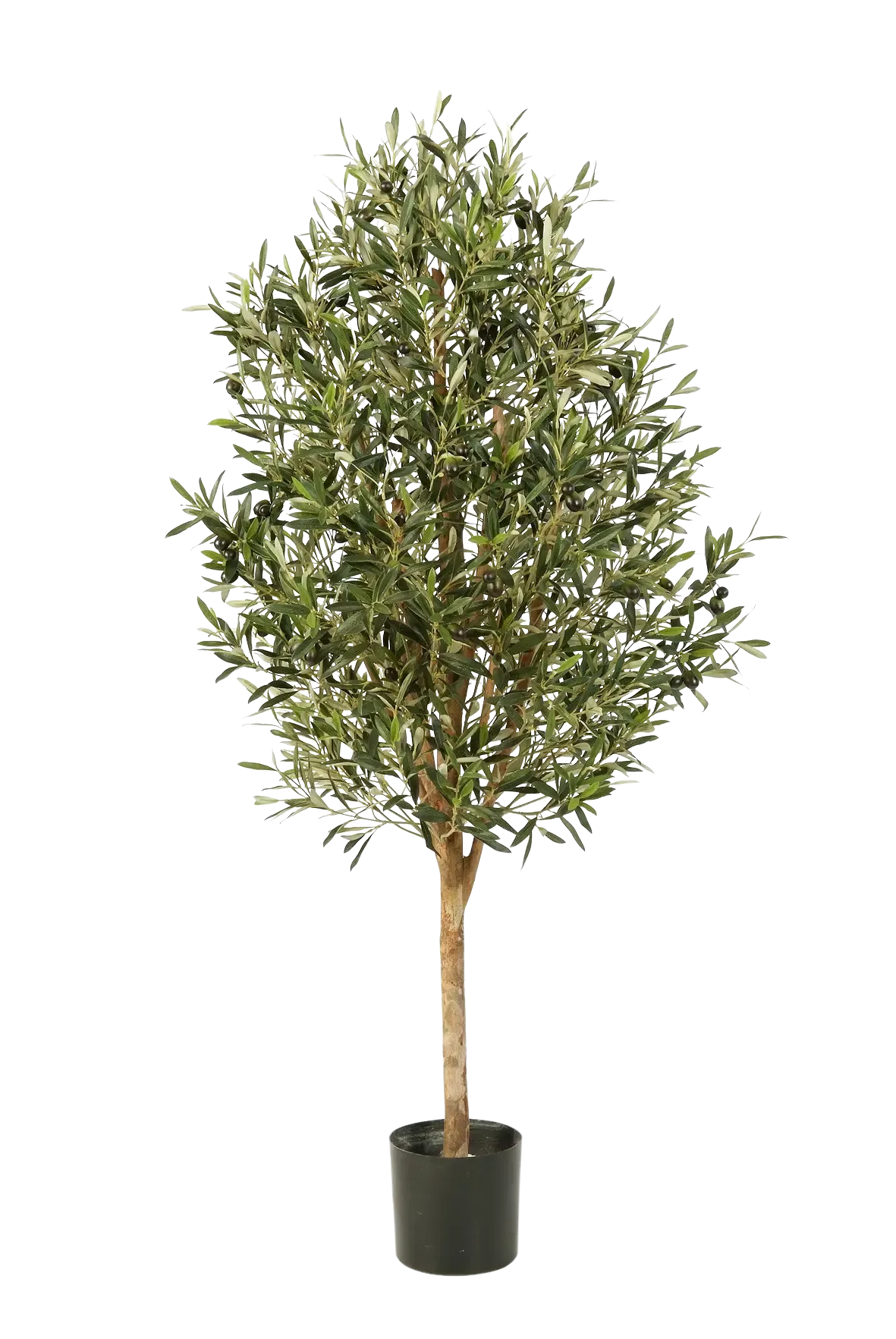 Künstlicher Olivenbaum - Ilaria, 170 cm, Kunstbaum von aplanta, mit Echtholzstamm, in Natur, für drinnen