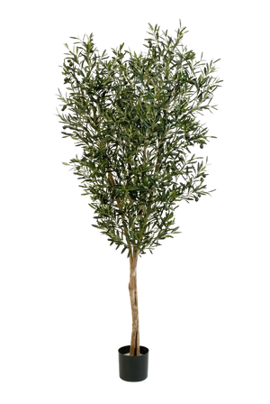 Künstliche Olivenbaum - Ilona, 180 cm, Kunstbaum von aplanta, in Natur, für drinnen