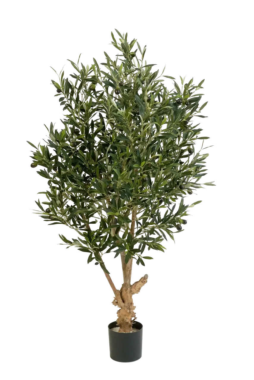 Künstlicher Olivenbaum - Ian, 120 cm, Kunstbaum von aplanta, mit Echtholzstamm, in Natur, für drinnen