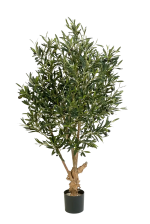 Künstlicher Olivenbaum - Ian, 120 cm, Kunstbaum von aplanta, mit Echtholzstamm, in Natur, für drinnen