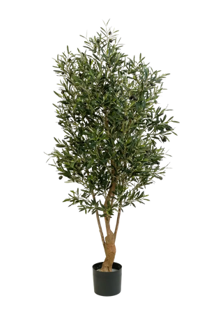 Künstlicher Olivenbaum - Ian, 150 cm, Kunstbaum von aplanta, mit Echtholzstamm, in Natur, für drinnen