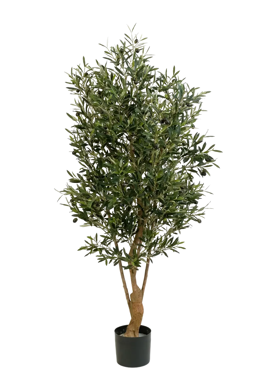 Künstlicher Olivenbaum - Ian, 170 cm, Kunstbaum von aplanta, mit Echtholzstamm, in Natur, für drinnen