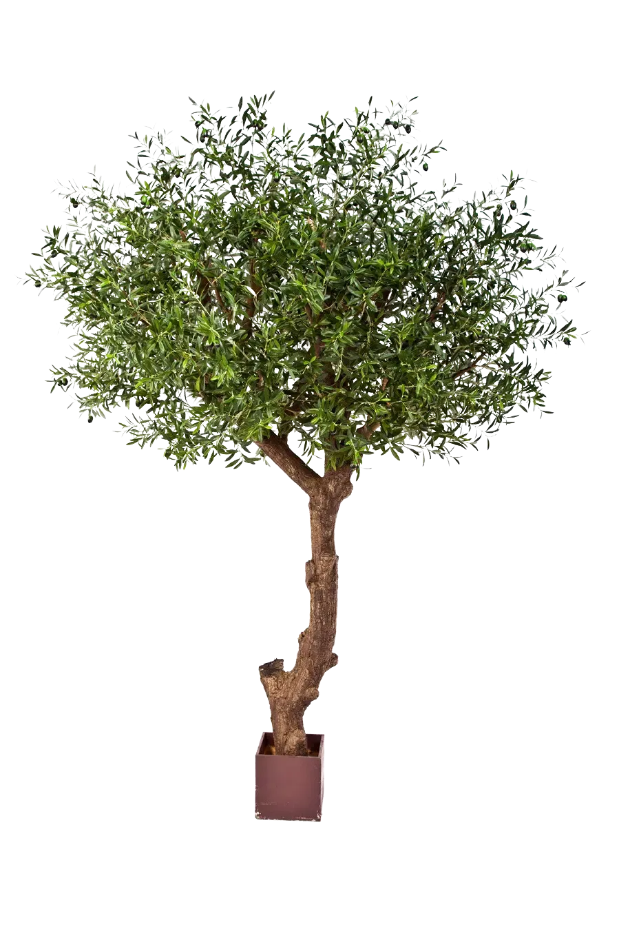 Künstlicher Olivenbaum - Ilias, 270 cm, Kunstbaum von aplanta, in Natur, für drinnen