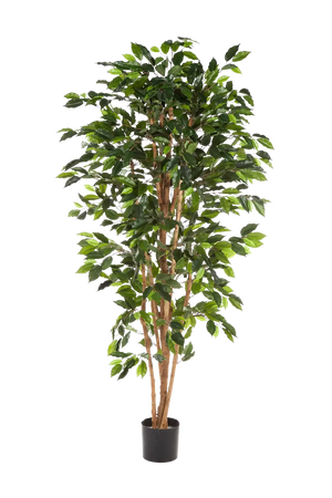 Künstlicher Ficusbaum - Sylvior, 150 cm, Kunstbaum von aplanta, mit Echtholzstamm, UV-beständig, inkl. Startertopf, in Grün