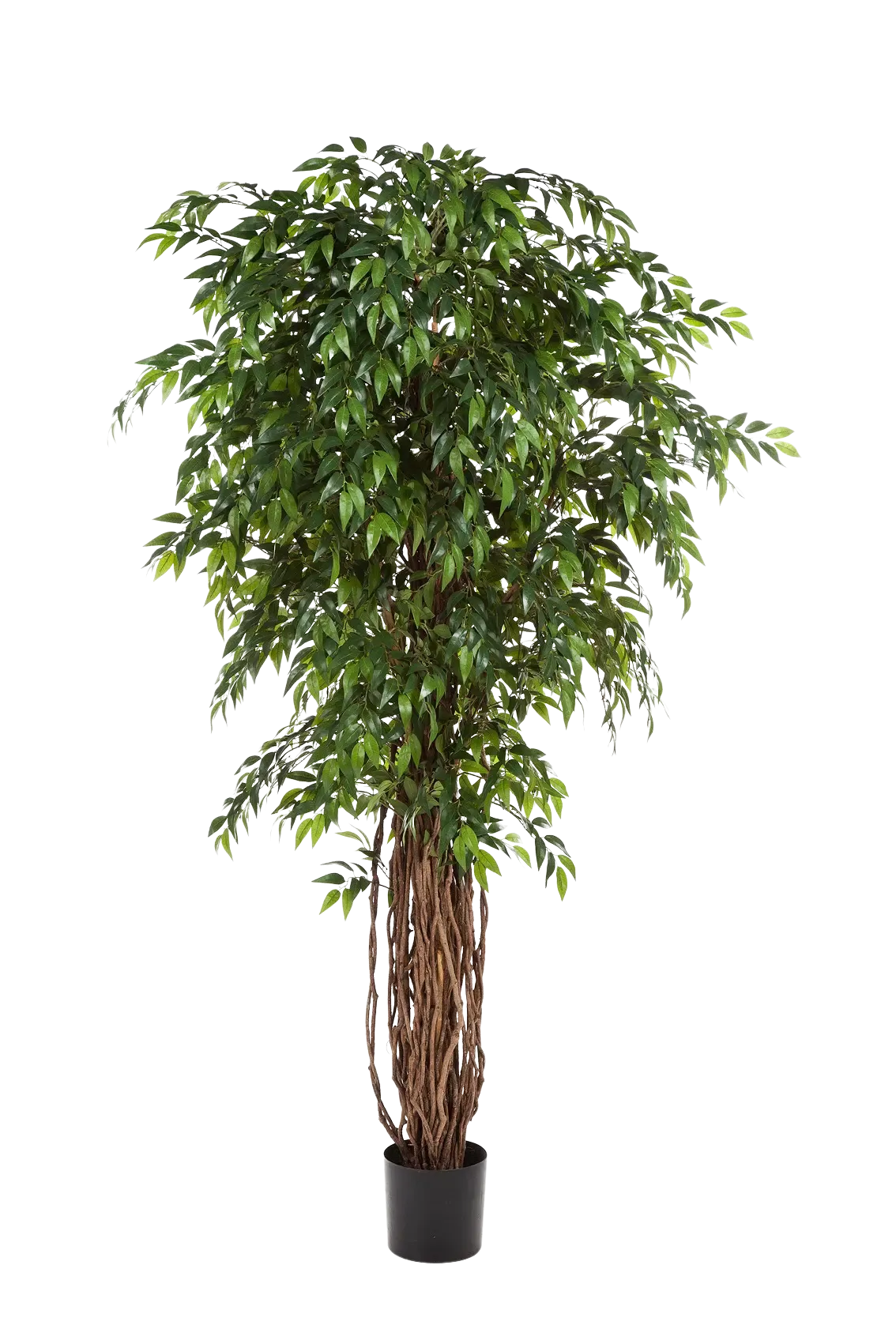 Künstlicher Ficus - Jayden, 210 cm, Kunstbaum von aplanta, in Natur, für drinnen