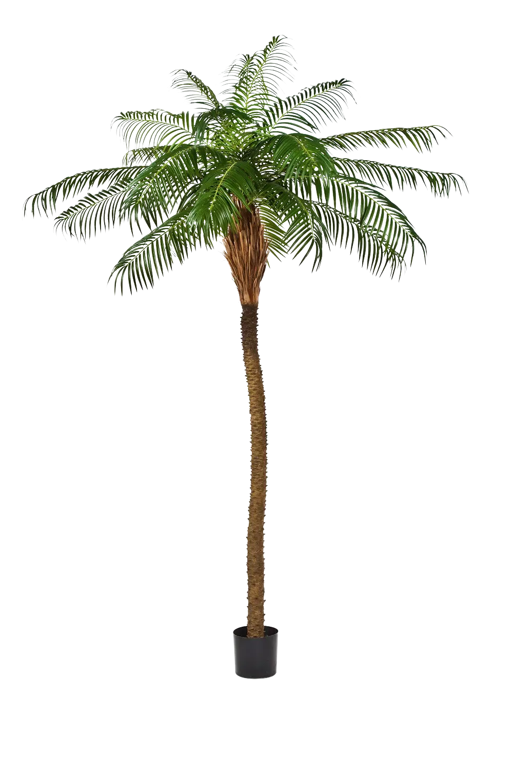 Künstliche Dattelpalme - Kaan, 280 cm, Kunstbaum von aplanta, in Natur, für drinnen