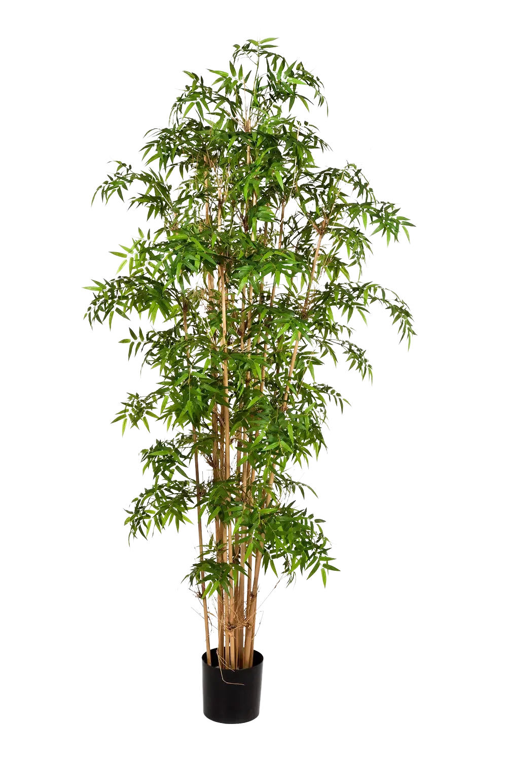 Künstlicher Bambus - Lucia, 230 cm, Kunstbaum von aplanta, mit Echtholzstamm, in Natur, für drinnen