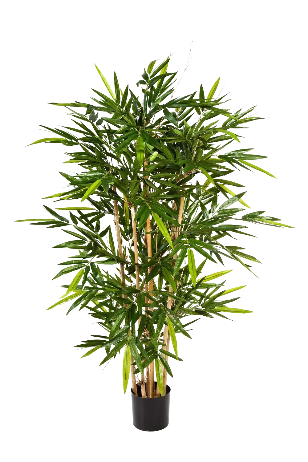 Künstlicher Bambus - Marlene, 210 cm, Kunstbaum von aplanta, feuerhemmend, mit Echtholzstamm, in Natur, für drinnen