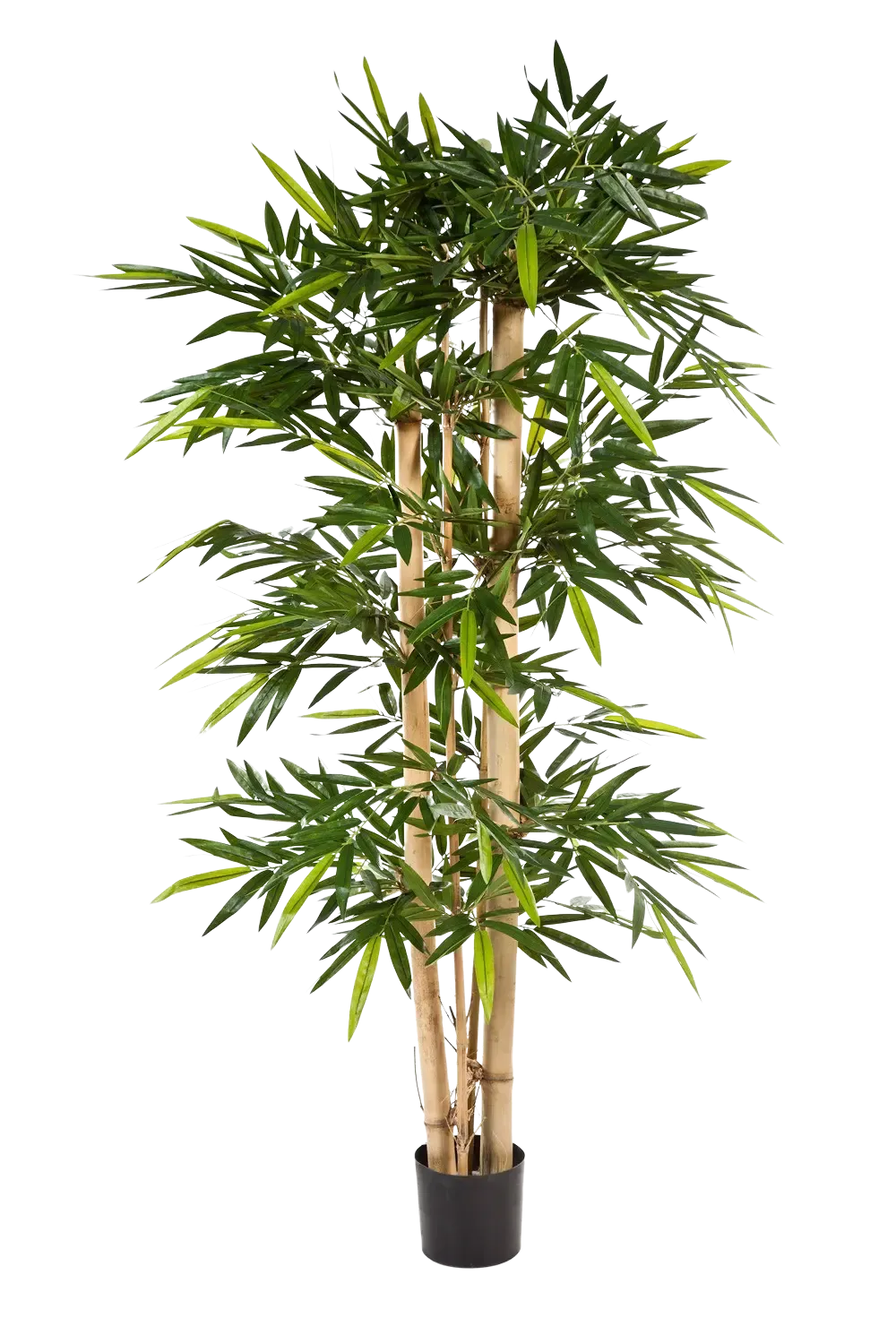 Künstlicher Bambus - Martha, 240 cm, Kunstbaum von aplanta, mit Echtholzstamm, im schwarzen Topf, in Natur, für drinnen