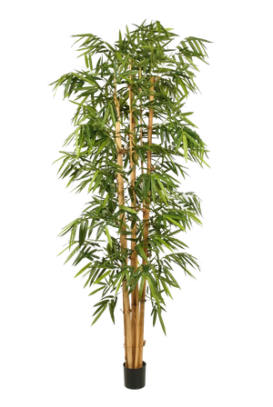 Künstlicher Bambus - Kenai, 180 cm, Kunstbaum von aplanta, mit Echtholzstamm, UV-beständig, inkl. Startertopf, in Grün
