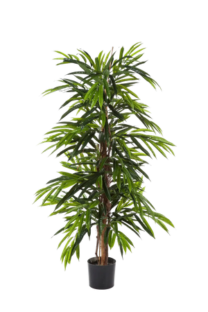 Künstliche Longifolia - Maurice, 210 cm, Kunstbaum von aplanta, feuerhemmend, in Natur, für drinnen
