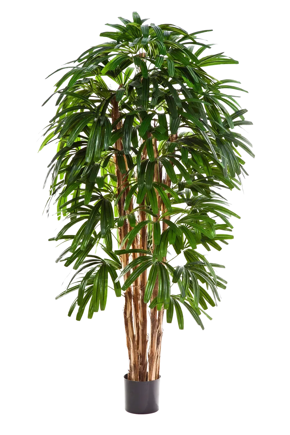 Künstliche Steckenpalme - Noemi, 210 cm, Kunstbaum von aplanta, in Natur, für drinnen