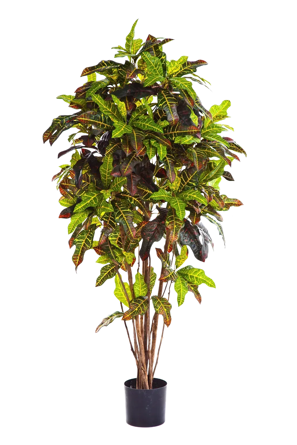 Künstlicher Croton - Ornella, 180 cm, Kunstbaum von aplanta, feuerhemmend, für drinnen