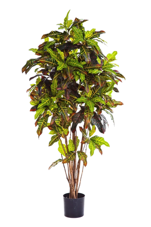 Künstlicher Croton - Ornella, 180 cm, Kunstbaum von aplanta, feuerhemmend, für drinnen