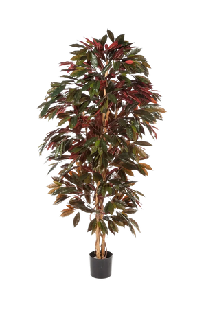 Künstlicher Capensia-Baum - Oliver, 210 cm, Kunstbaum von aplanta, für drinnen