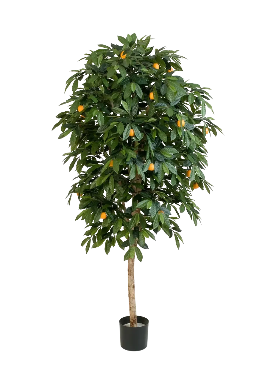Künstlicher Orangenbaum - Pius, 170 cm, Kunstbaum von aplanta, mit Echtholzstamm, im schwarzen Topf, in Natur, für drinnen