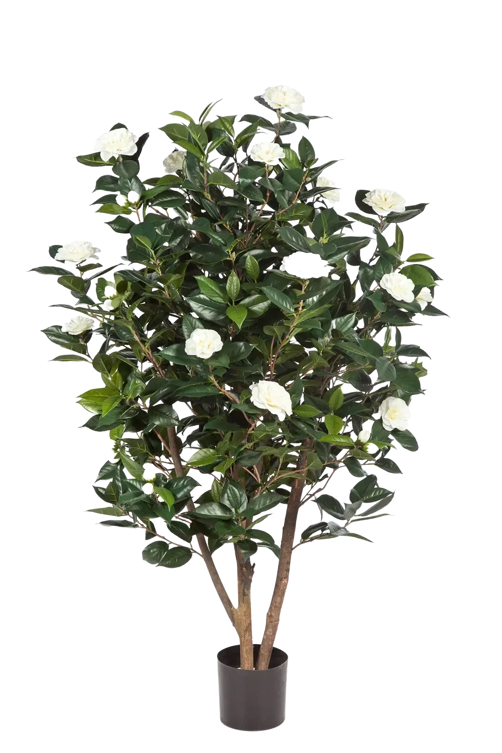 Künstliche japanische Kamelie - Patrice, 150 cm, Kunstbaum von aplanta, in Creme, für drinnen