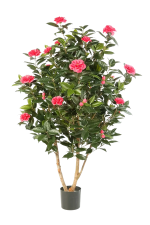 Künstliche japanische Kamelie - Phileas, 150 cm, Kunstbaum von aplanta, in Pink, für drinnen