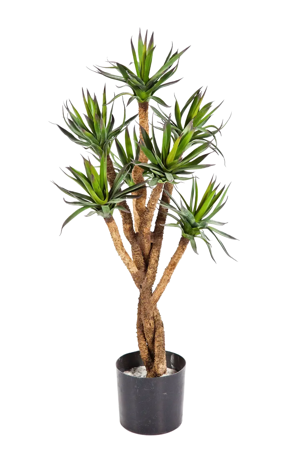 Künstliche Agave - Prince, 70 cm, Kunstbaum von aplanta, im schwarzen Topf, in Natur, für drinnen
