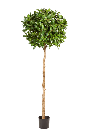 Künstliche Lorbeer - Romy, 140 cm, Kunstbaum von aplanta, feuerhemmend, im schwarzen Topf, in Natur, für drinnen