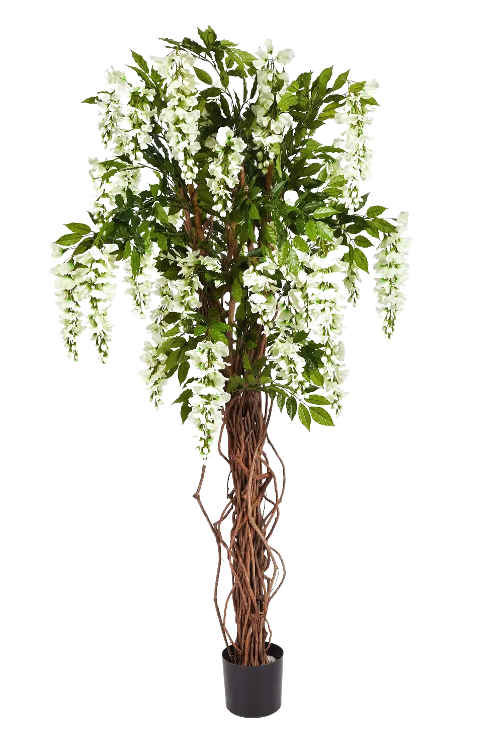 Künstliche Wisteria Liana - Ria, 180 cm, Kunstbaum von aplanta, mit Echtholzstamm, in Weiß, für drinnen