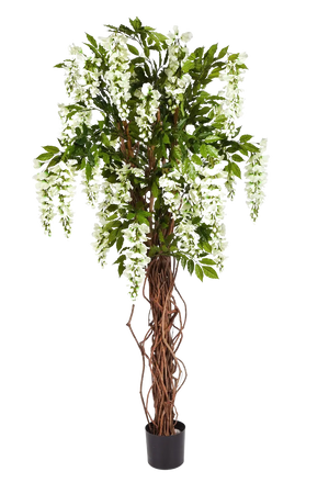 Künstliche Wisteria Liana - Ria, 180 cm, Kunstbaum von aplanta, mit Echtholzstamm, in Weiß, für drinnen