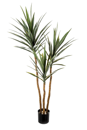 Künstliche Yucca - Talandra, 150 cm, Kunstbaum von aplanta, in Grün, für drinnen