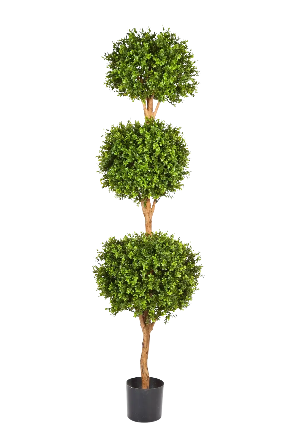 Künstlicher Buchsbaum - Ruben, 190 cm, Kunstbaum von aplanta, im schwarzen Topf, in Natur, für drinnen