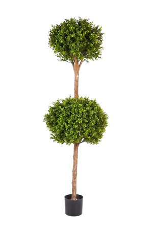 Künstlicher Buchsbaum - Ruben, 165 cm, Kunstbaum von aplanta, mit Echtholzstamm, im schwarzen Topf, in Natur, für drinnen