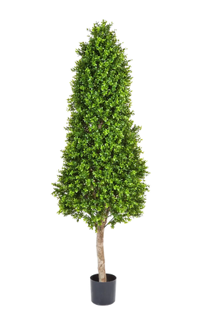 Künstlicher Buchsbaum - Rene, 170 cm, Kunstbaum von aplanta, im schwarzen Topf, in Natur, für drinnen