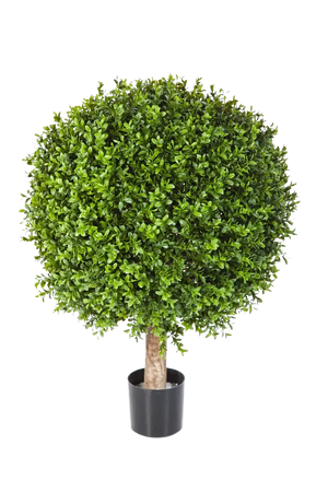 Künstlicher Buchsbaum - Rico, 85 cm, Kunstbaum von aplanta, in Natur, für drinnen