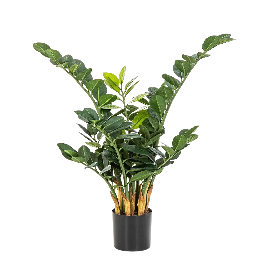 Künstliche Zamioculcas - Svea, 66 cm, Kunstpflanze von aplanta, im schwarzen Topf, in Natur, für drinnen
