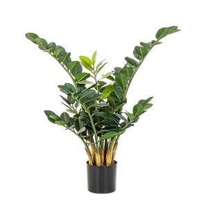 Künstliche Zamioculcas - Svea, 66 cm, Kunstpflanze von aplanta, im schwarzen Topf, in Natur, für drinnen