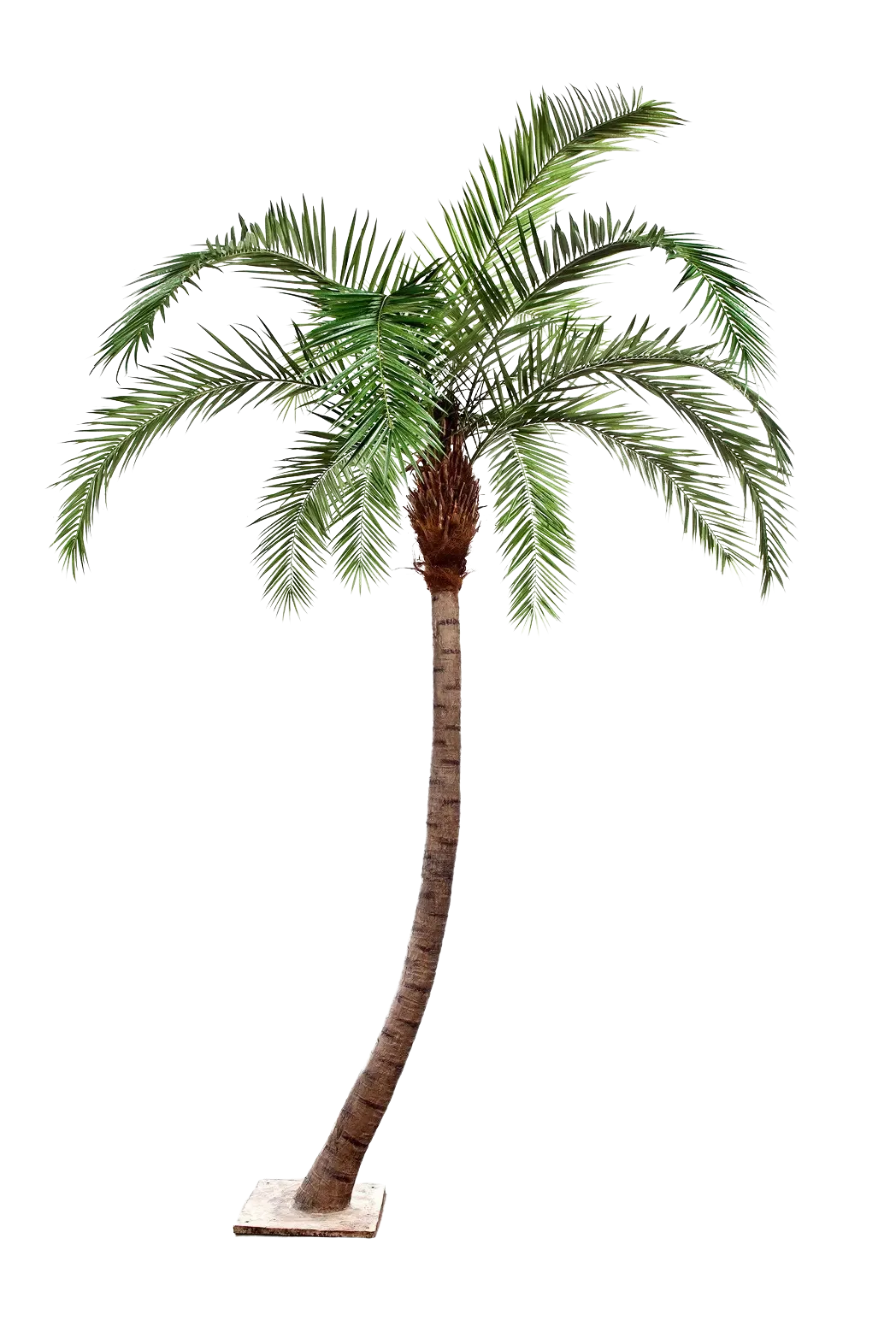Künstliche Phoenixpalme - Simon, 390 cm, Kunstbaum von aplanta, in Natur, für drinnen