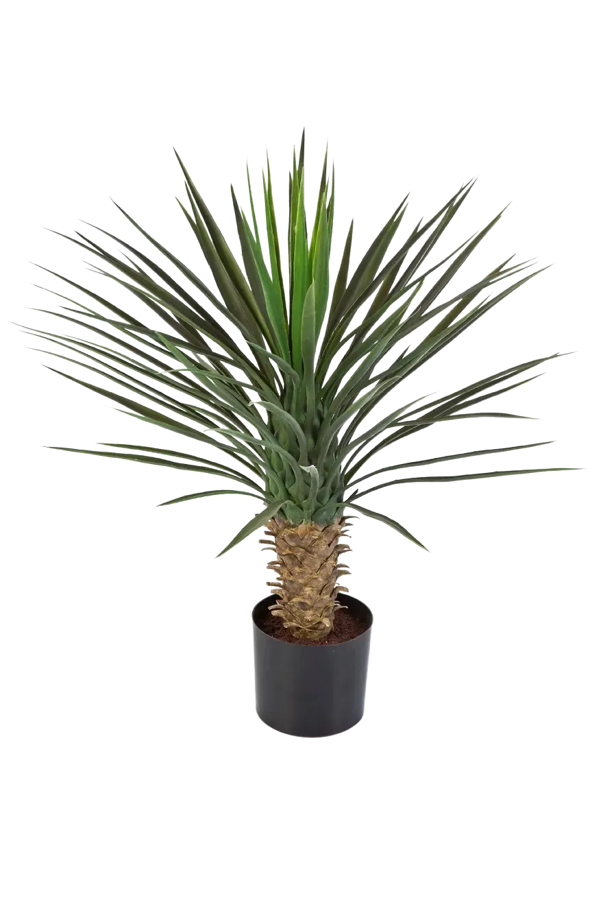 Künstliche Yucca Rostrata Palme - Sven, 82 cm, Kunstbaum von aplanta, in Natur, für drinnen