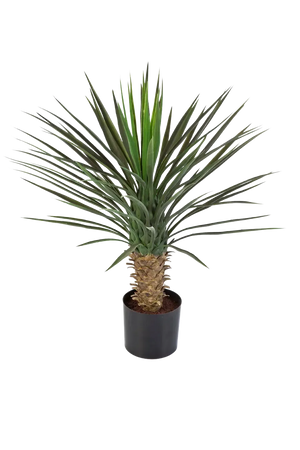 Künstliche Yucca Rostrata Palme - Sven, 82 cm, Kunstbaum von aplanta, in Natur, für drinnen