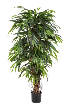 Künstliche Longifolia - Steven, 210 cm, Kunstbaum von aplanta, in Natur, für drinnen