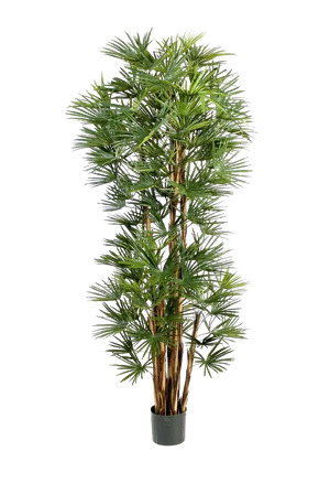 Künstliche Palme - Sören, 180 cm, Kunstbaum von aplanta, in Natur, für drinnen