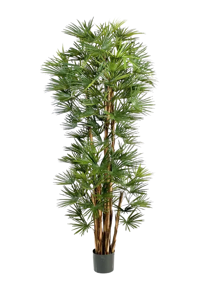 Künstliche Palme - Sören, 210 cm, Kunstbaum von aplanta, in Natur, für drinnen