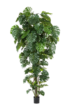 Künstliche Monstera - Chris, 280 cm, Kunstbaum von aplanta, mit Echtholzstamm, im schwarzen Topf, in Natur, für drinnen